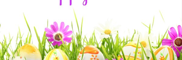 Jaja, Trawa, Kwiaty, Wielkanoc