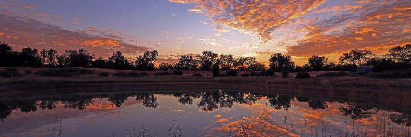 Drzewa, Rzeka, Region Riverland, Stan Australia Południowa, Australia, Niebo, Odbicie, Zachód słońca, Chmury