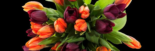 Czarne Tło, Bukiet, Tulipany