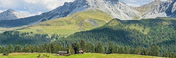Miejscowość Arosa, Kanton Gryzonia, Chmury, Drogi, Góry Alpy Retyckie, Las, Domy, Szwajcaria