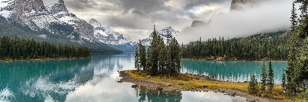 Drzewa, Jezioro Maligne, Wyspa Ducha, Park Narodowy Jasper, Kanada, Mgła, Góry