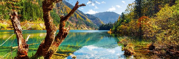 Chiny, Jezioro Arrow Bamboo Lake, Park Narodowy Jiuzhaigou, Las Drzewa, Góry