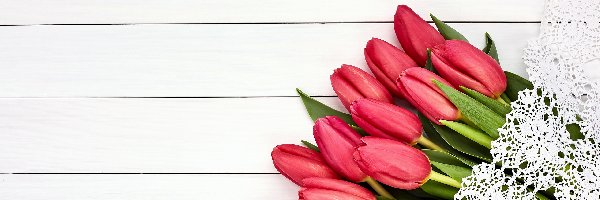 Tulipany, Deski, Serwetka, Czerwone