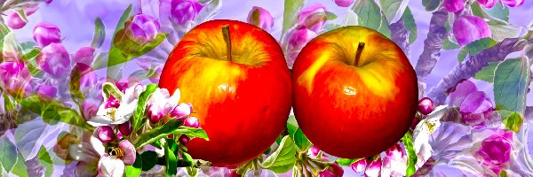Grafika, Kwiaty jabłoni, Jabłka