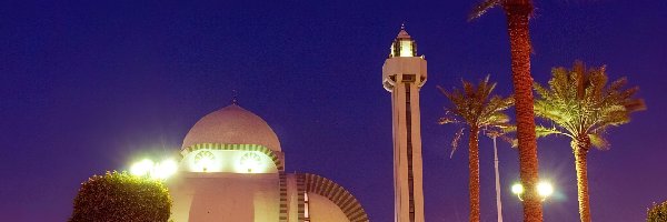 Al Khobar, Budynek, Arabia, Palmy, Wieża