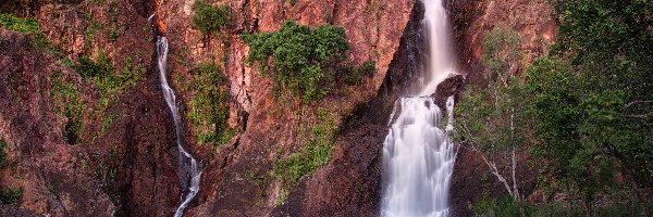 Drzewa, Skały, Wodospad Wangi Falls, Roślinność, Park Narodowy Litchfield, Australia
