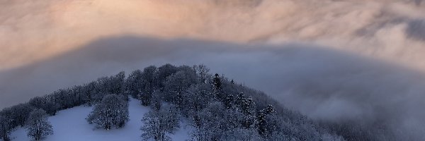 Mgła, Zima, Góra Hohenzollern, Badenia-Wirtembergia, Niemcy, Drzewa, Oszronione, Zamek Hohenzollern, Góra