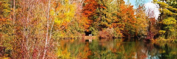 Jesień, Kolorowe, Staw, Odbicie, Drzewa
