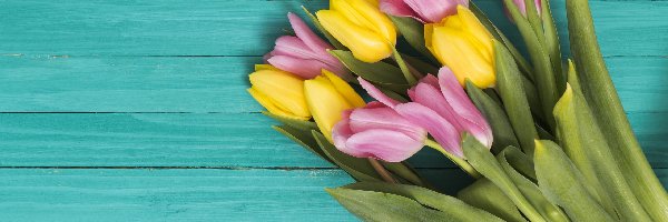 Żółte, Deski, Tulipany, Różowe