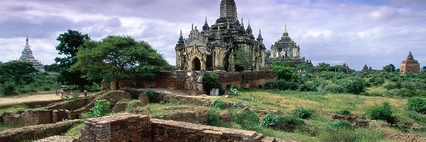 Myanmar, Ruiny, Pagody, Trawa, Drzewa