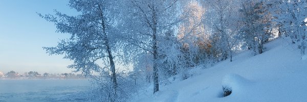 Śnieg, Miejscowość Dubna, Rzeka Wołga, Moskwa, Rosja, Zima, Drzewa