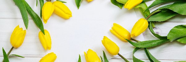 Kartka, Tulipany, Biała, Deski, Żółte, Kwiat