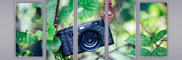 Aparat fotograficzny Fujinon Aspherical Lens, Dekoracja, Obrazy