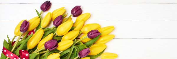 Żółte, Tulipany, Bordowe, Wstążka, Bukiet