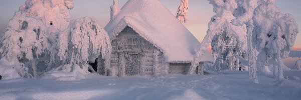 Zima, Dom, Ośnieżony, Śnieg, Drzewa