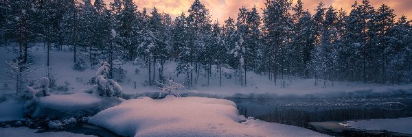 Jezioro, Gmina Ringerike, Chmury, Zachód słońca, Zima, Drzewa, Las, Norwegia