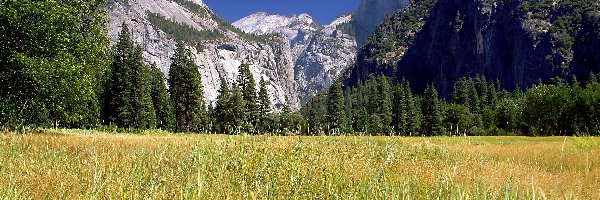 Stan Kalifornia, Góry, Park Narodowy Yosemite, Stany Zjednoczone