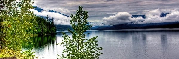 Drzewa, Chmury, Jezioro