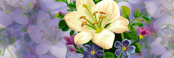 Grafika 2D, Lilia, Kwiaty