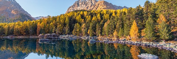 Kamienie, Jezioro Lago di Saoseo, Góry Alpy, Kanton Gryzonia, Szwajcaria, Odbicie, Jesień, Dolina Val di Campo, Drzewa