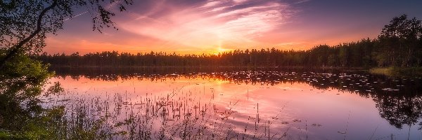 Zachód słońca, Park Narodowy Helvetinjärvi, Jezioro Siikajärvi, Drzewa, Gmina Ruovesi, Finlandia