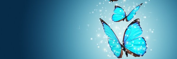 Motyle, Niebieskie