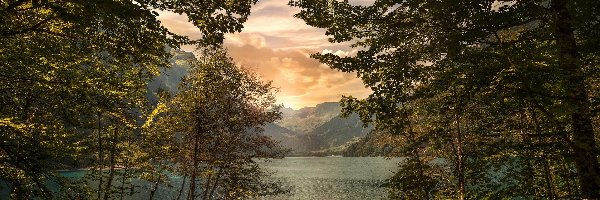 Jezioro Klontalersee, Kanton Glarus, Ponton, Drzewa, Góry Alpy, Wschód słońca, Las, Szwajcaria