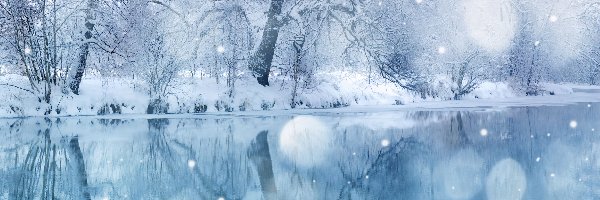 Śnieg, Woda, Drzewa, Zima