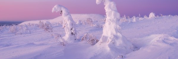 Zima, Drzewa, Zaśnieżone, Góry, Śnieg