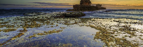 Skały, Park Narodowy Mornington Peninsula, Zatoka Bay of Islands, Sorrento, Australia, Wodorosty, Morze