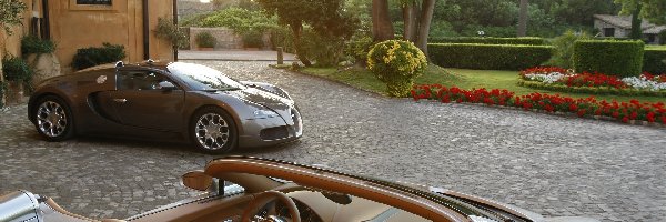 Ogród, Bugatti Veyron, Samochód, Dom