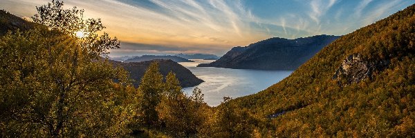 Promienie słońca, Wzgórza, Morze Norweskie, Burfjord, Norwegia, Drzewa, Wzgórza