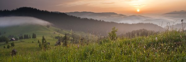 Łąka, Wzgórza, Zachód słońca, Bukowina, Rumunia, Drzewa, Mgła