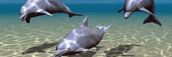 3D, Delfiny