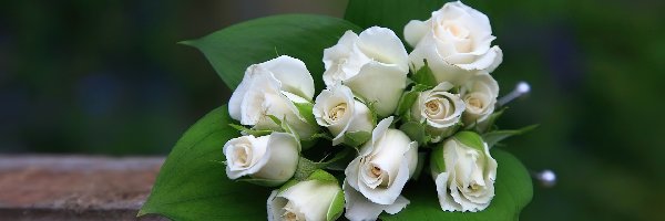 Róże, Białe, Bukiet
