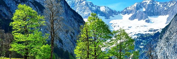 Góry, Drzewa, Śnieg, Austria, Alpy