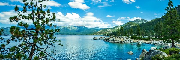 Tahoe, Kamienie, Jezioro, Sierra Nevada, Las, Góry