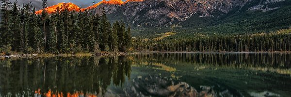 Drzewa, Góry, Jezioro Pyramid Lake, Odbicie, Park Narodowy Jasper, Kanada