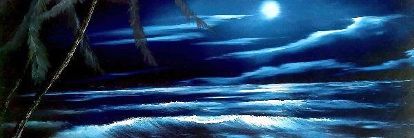 Morze, Bob Roos, Księżyc, Noc