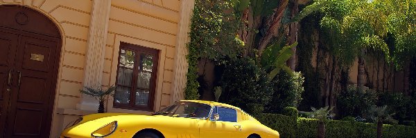 Lewy, Ferrari 275, Bok, Żółte