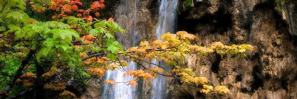 Skały, Jesień, Drzewa, Wodospad
