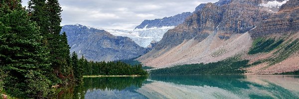 Drzewa, Park Narodowy Banff, Kanada, Chmury, Jezioro Bow Lake, Góry Skaliste