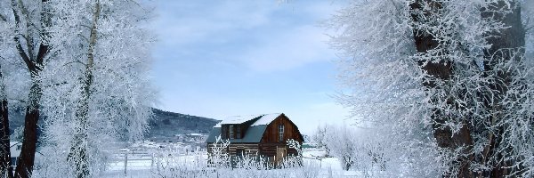 Zima, Śnieg, Drzewa, Dom, Drewniany