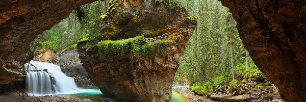 Jaskinia, Park Narodowy Banff, Drzewa, Wodospad, Johnston Canyon, Skała, Kamienie, Kanada