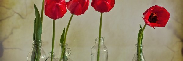 Tulipany, Aniołek, Butelki, Czerwone