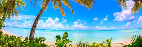 Kiribati, Palmy, Roślinność, Morze, Ocean Spokojny, Wyspa Abaiang, Chmury