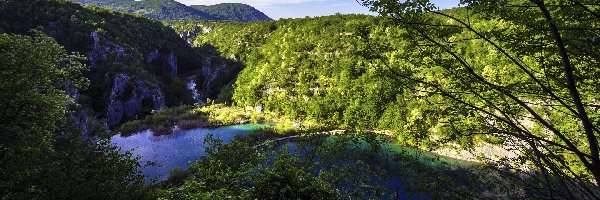 Chorwacja, Drzewa, Jeziora, Park Narodowy Jezior Plitwickich, Roślinność
