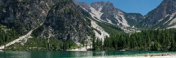 Włochy, Drzewa, Jezioro Pragser Wildsee, Dolomity, Góry, Dolina Val Pusteria, Lago di Braies