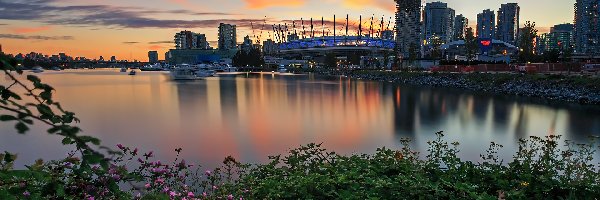 Roślinność, Akwen, False Creek, Vancouver, Kanada, Wieżowce, Stadion BC Place Stadium