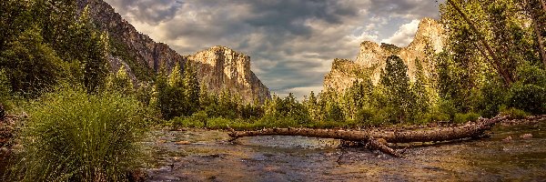 Kamienie, Rzeka Merced, Park Narodowy Yosemite, Kalifornia, Stany Zjednoczone, Suchy konar, Drzewa, Góry, Rośliny
